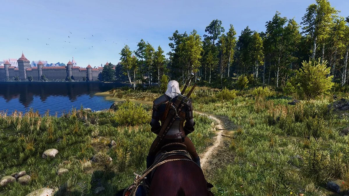 The Witcher 3: Wild Hunt — Remastered — Реалистичное изменение цвета