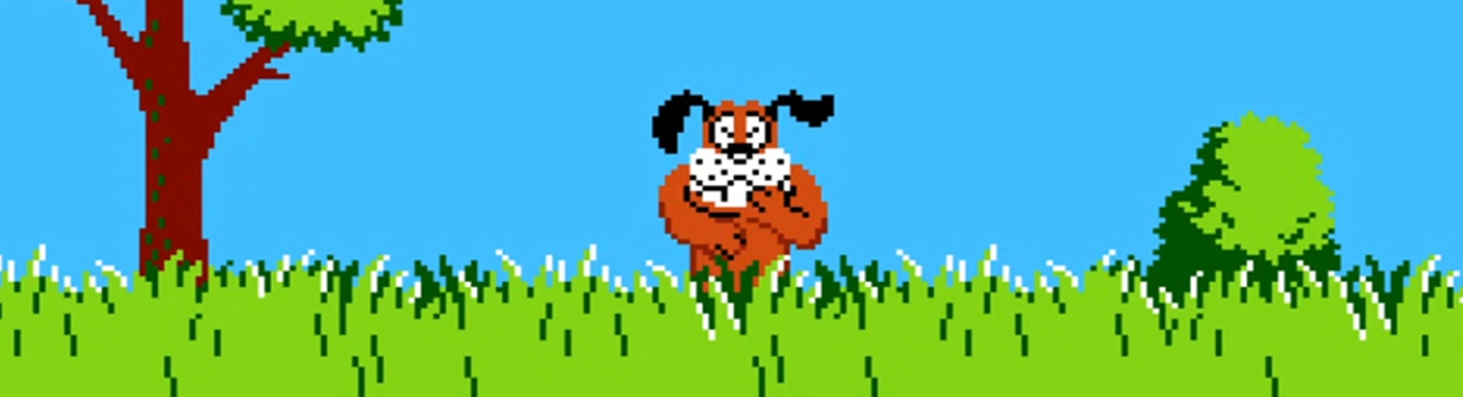 Duck Hunt (1993) - обложка игры