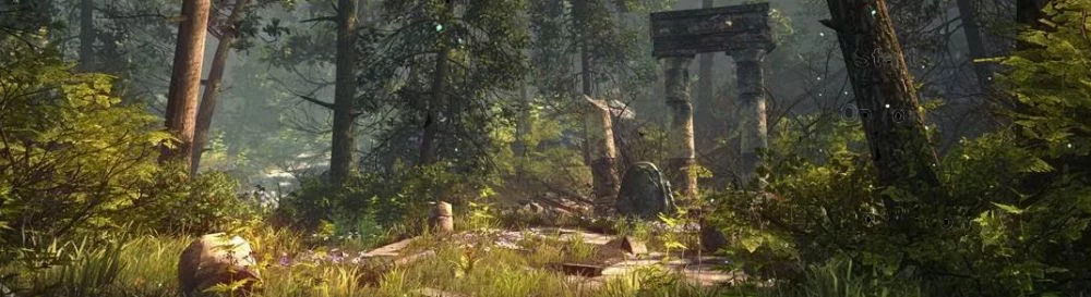 The Forest - обложка игры