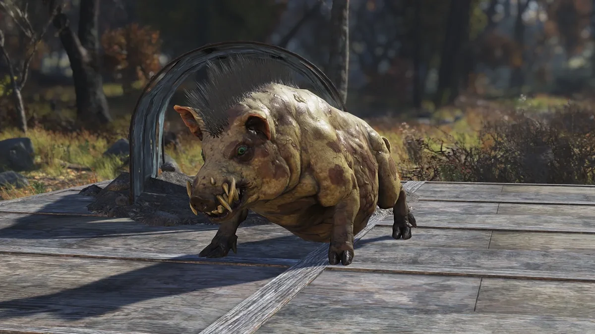 В Fallout 76 можно будет взять в поход собаку или даже когтя смерти — а немецкую овчарку подарят всем